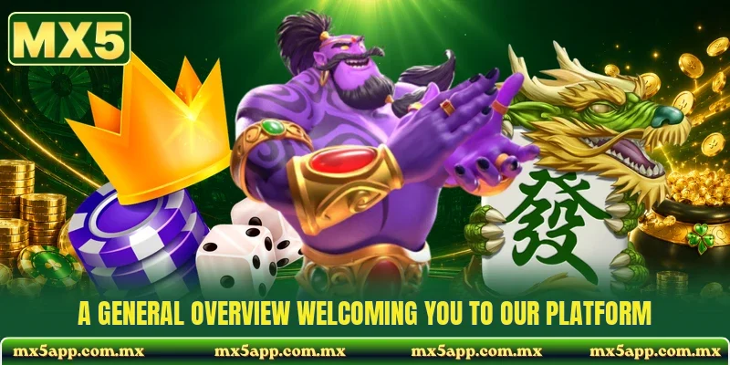 A general overview welcoming you to our platform