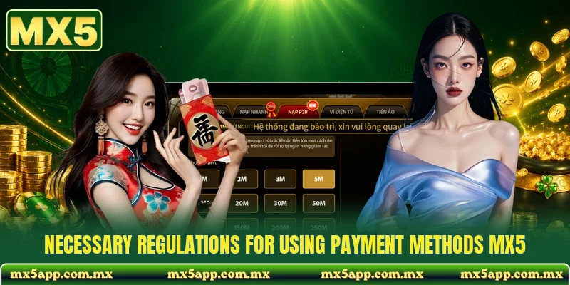 Necessary regulations for using payment methods MX5