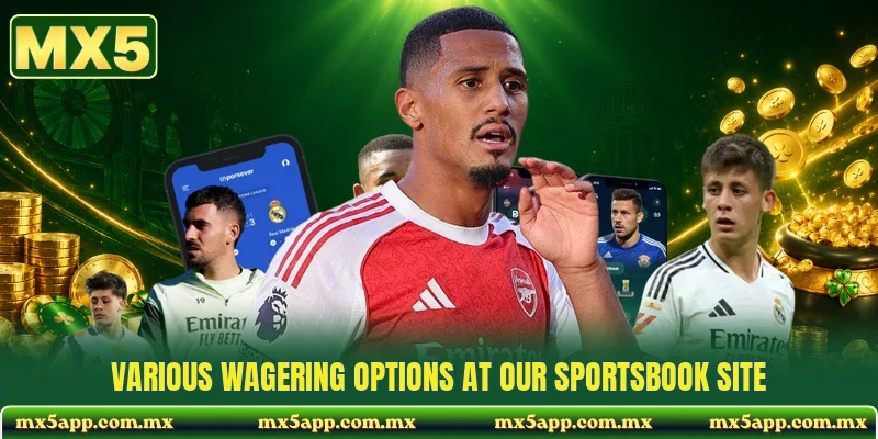 Various wagering options at our sportsbook site